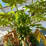 Appartamento Casa Regina Spain