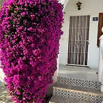 Casa Regina Spain Appartamento