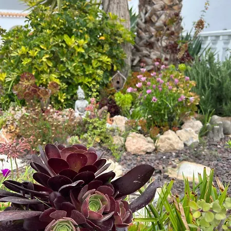 Casa Regina Spain *