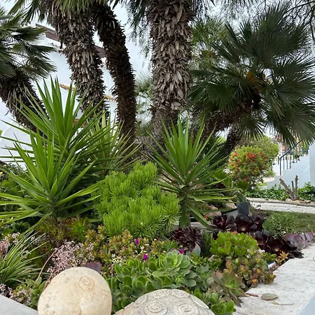 Casa Regina Spain * 克萨达城