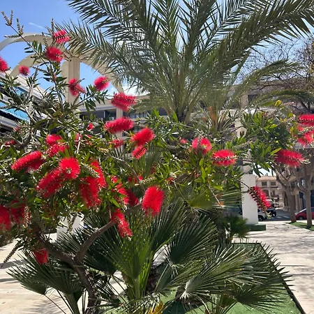 Casa Regina Spain * 克萨达城