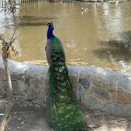 Casa Regina Spain 公寓