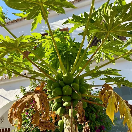 公寓 Casa Regina Spain